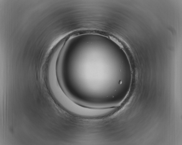 X0000114120925200910191720