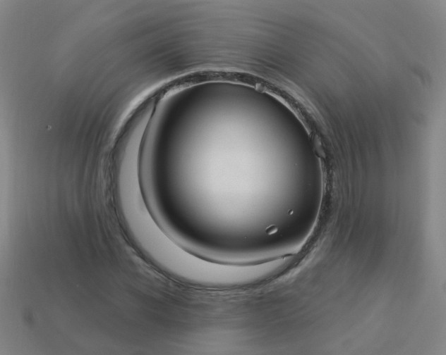 X0000114120926200910191720