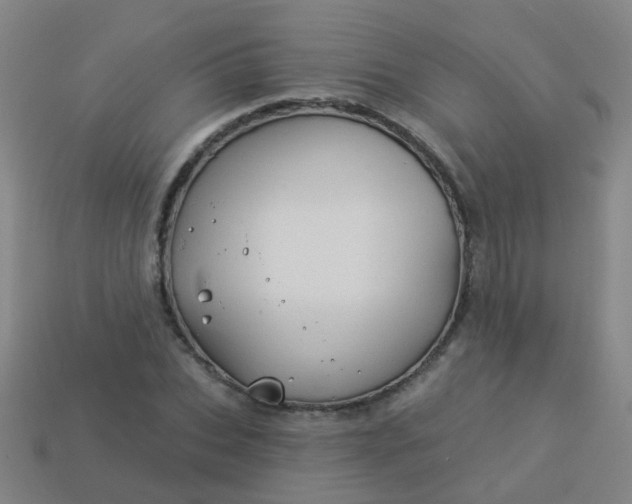 X0000114120927200910191720