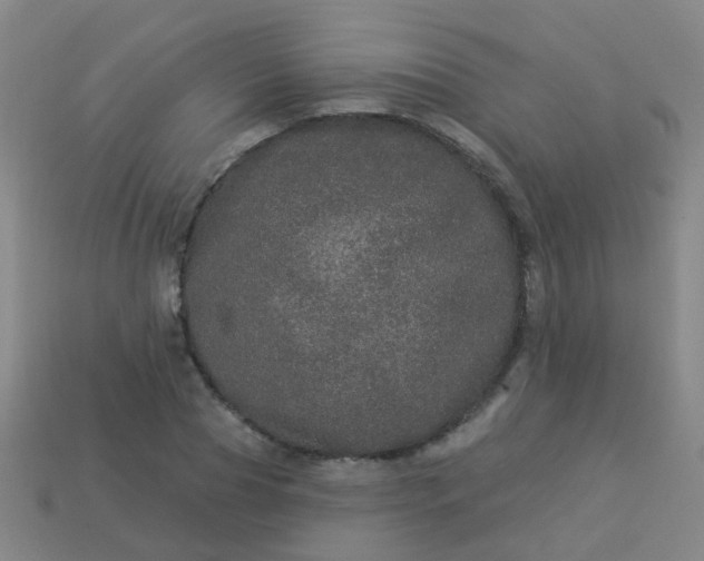 X0000114120929200910191720