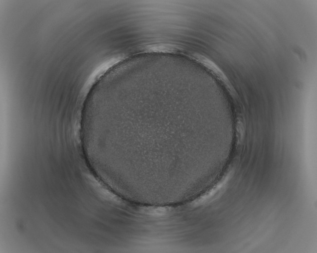 X0000114120930200910191720