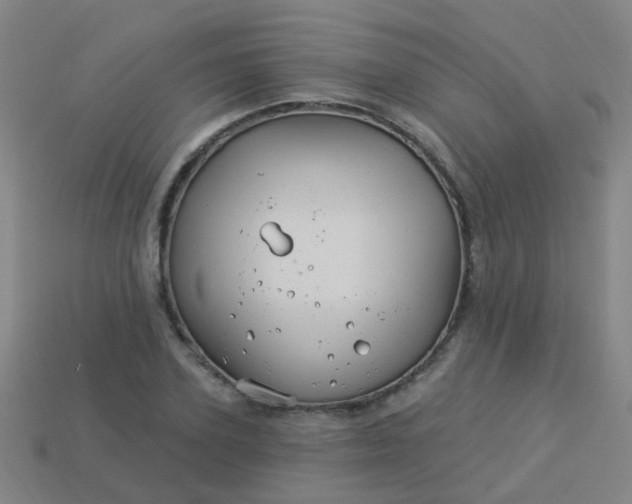 X0000114120931200910191720