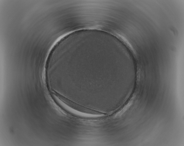 X0000114120932200910191720