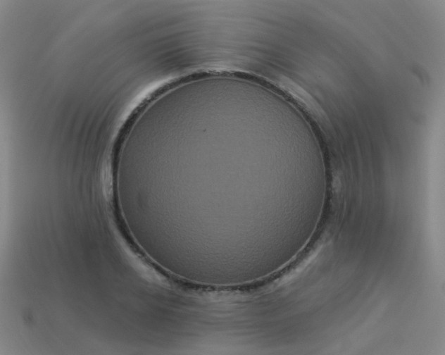 X0000114120934200910191720