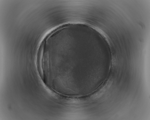 X0000114120935200910191720