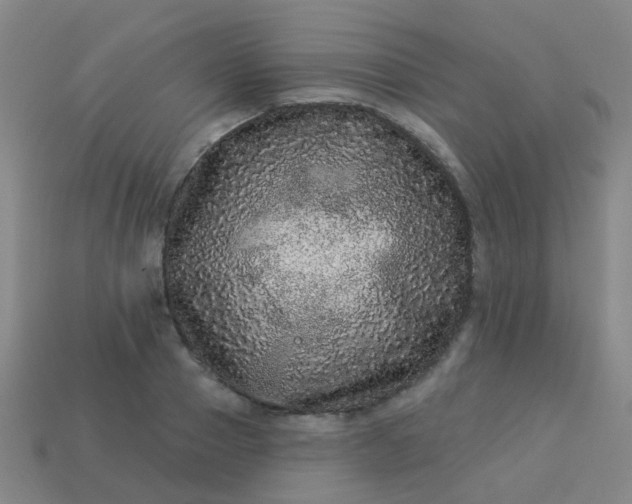 X0000114120937200910191720