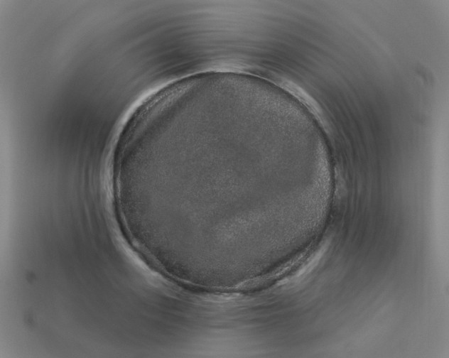 X0000114120939200910191720