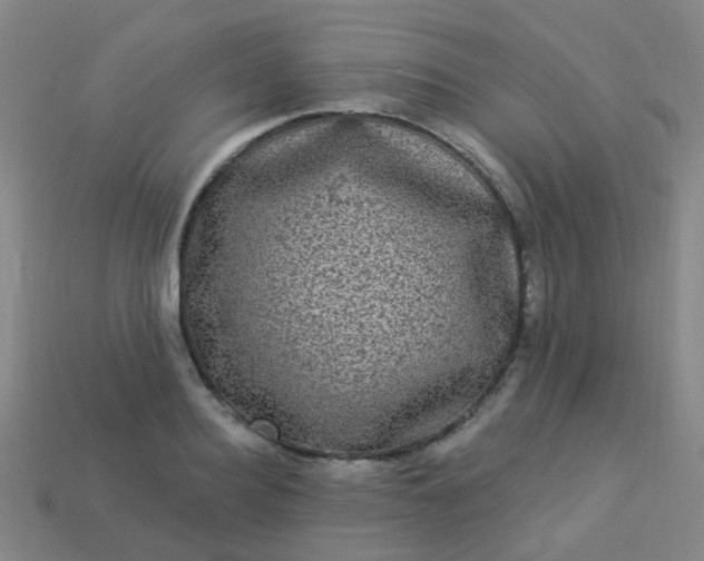 X0000114120940200910191720