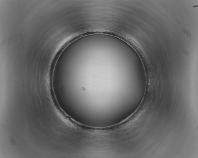 X0000114120942200910191720