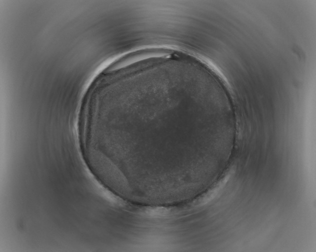 X0000114120943200910191720