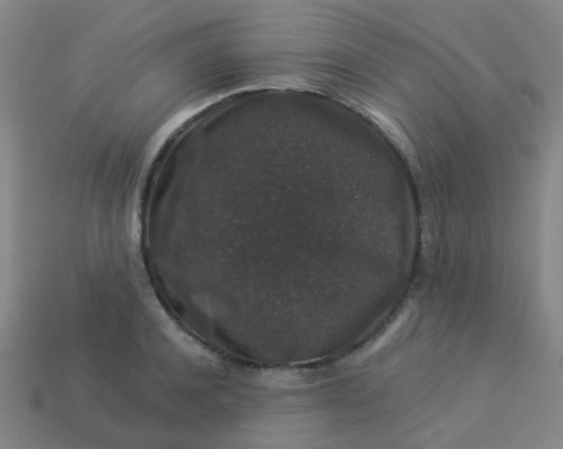 X0000114120944200910191720