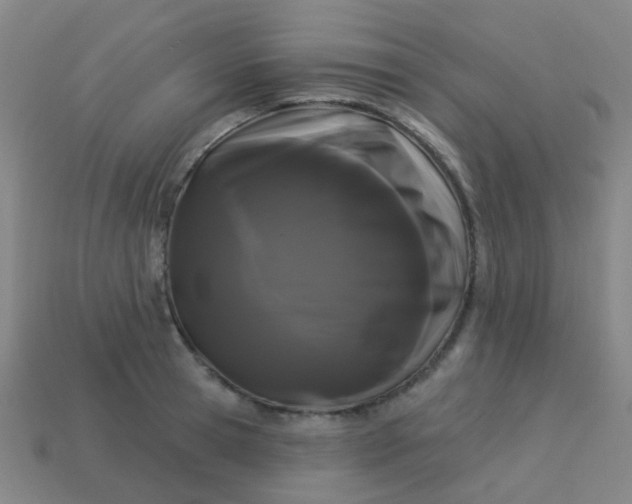 X0000114120945200910191720