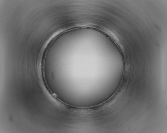 X0000114120947200910191720