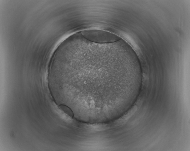 X0000114120948200910191720