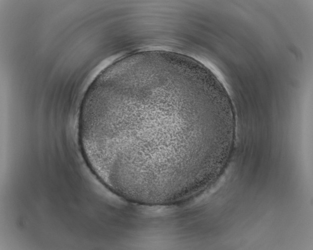 X0000114120949200910191720