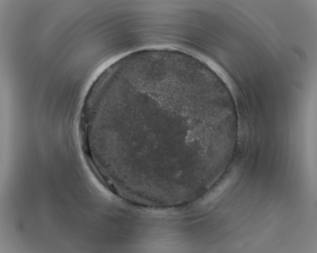 X0000114120951200910191720