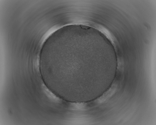 X0000114120952200910191720