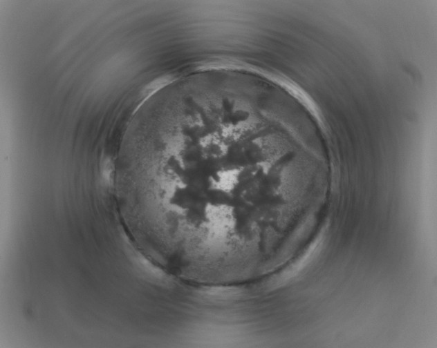 X0000114120953200910191720