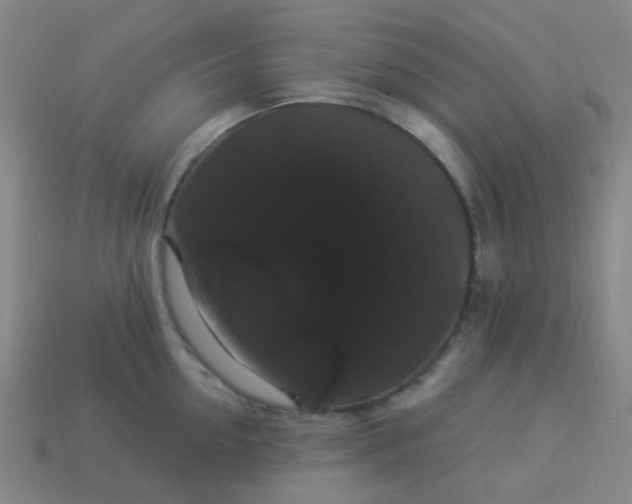 X0000114120954200910191720