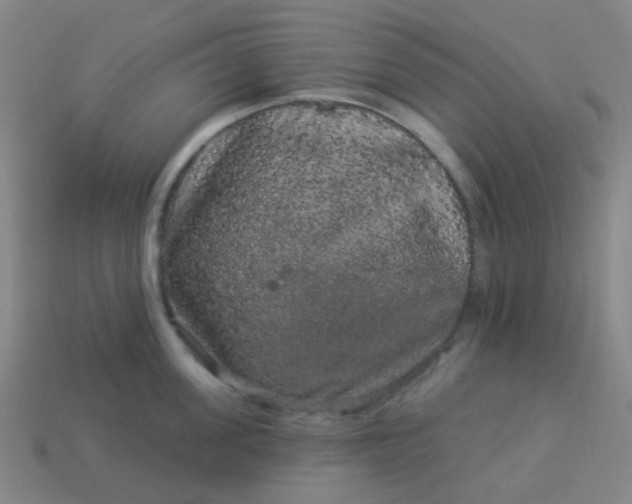 X0000114120955200910191720