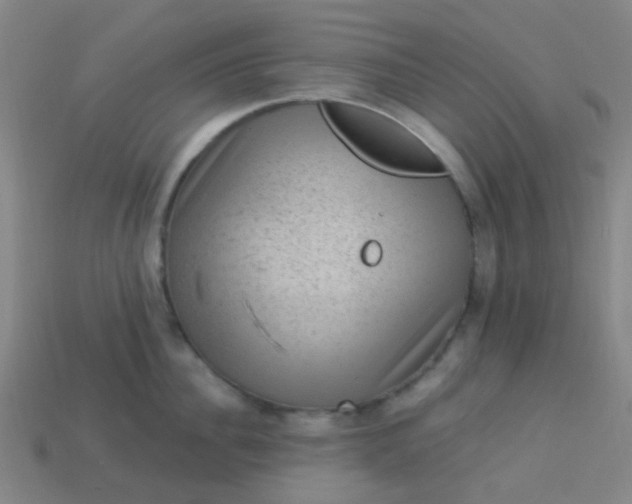 X0000114120956200910191720