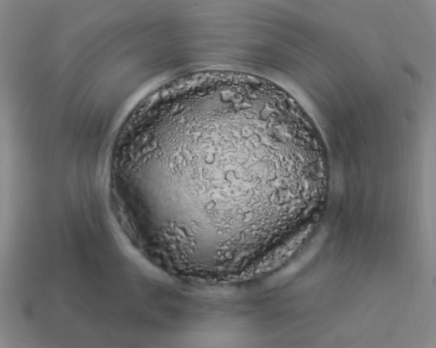 X0000114120957200910191720