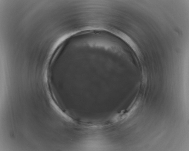 X0000114120958200910191720