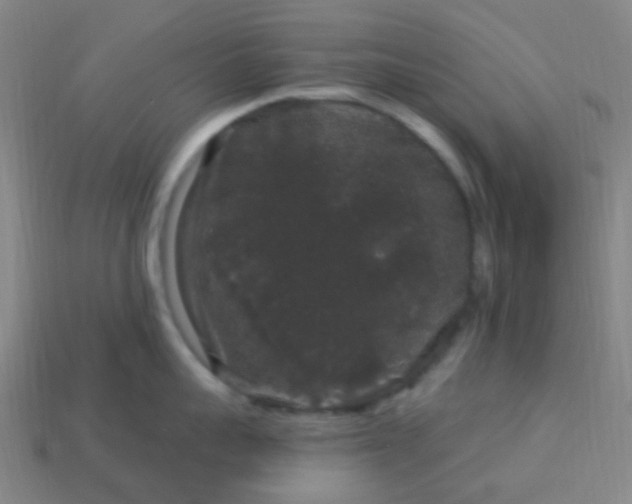 X0000114120959200910191720