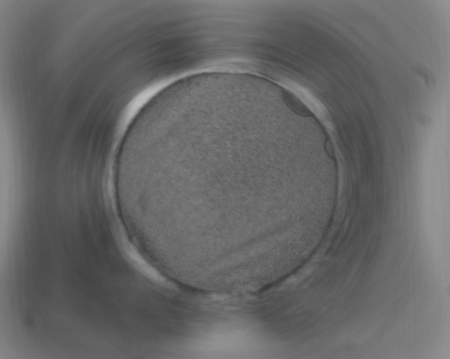 X0000114120960200910191720