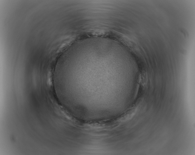 X0000114120962200910191720