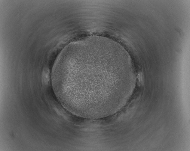 X0000114120963200910191720