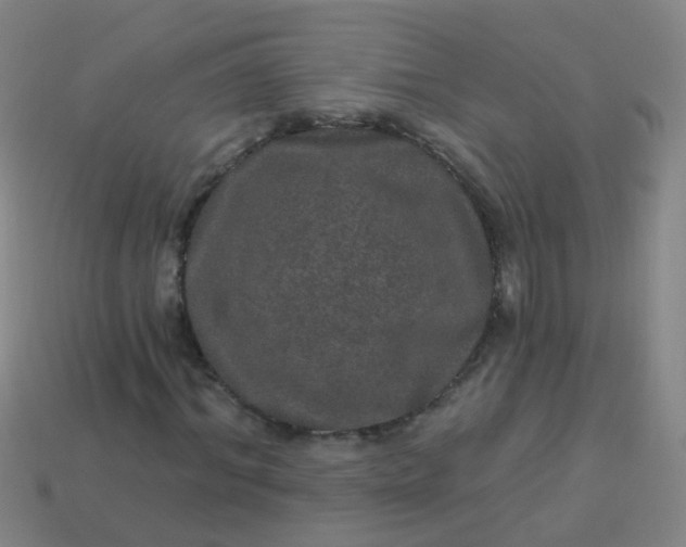 X0000114120964200910191720