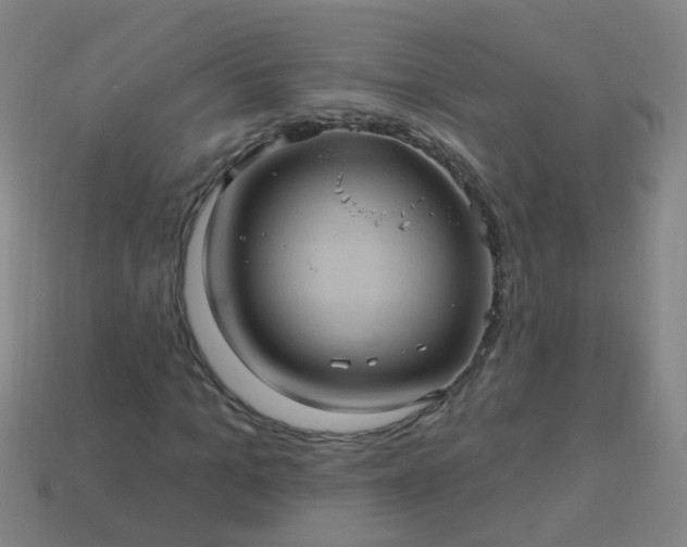 X0000114120965200910191720