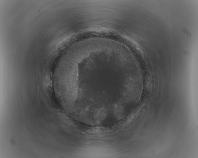 X0000114120966200910191720