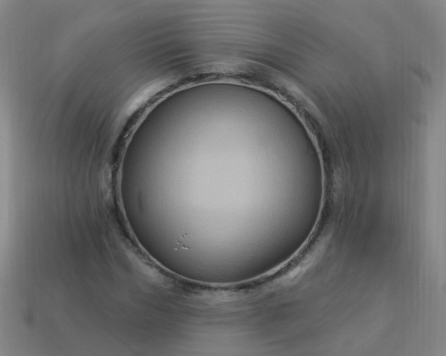 X0000114120970200910191720