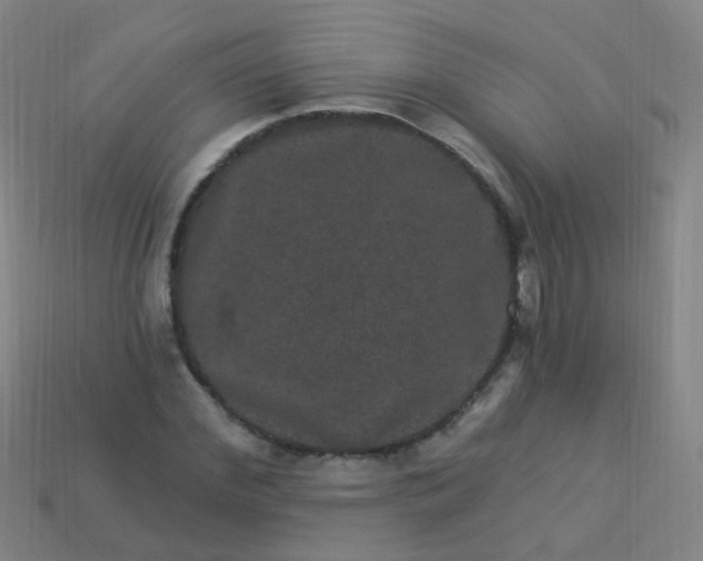 X0000114120972200910191720