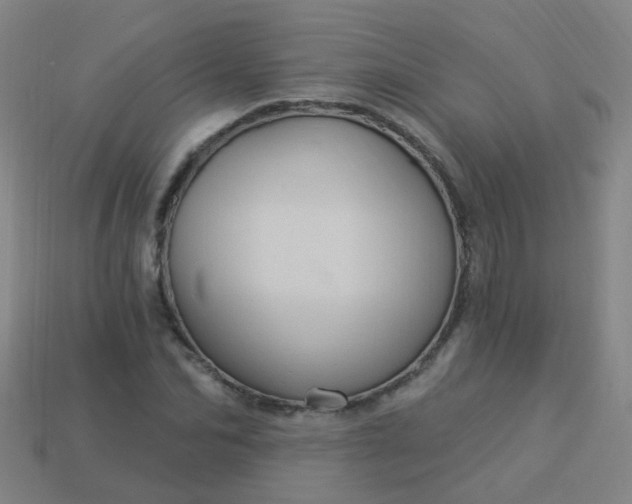 X0000114120974200910191720