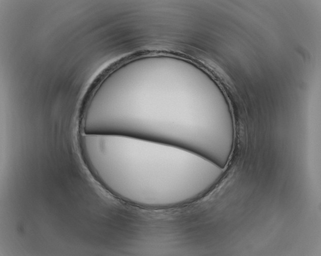 X0000114120976200910191720