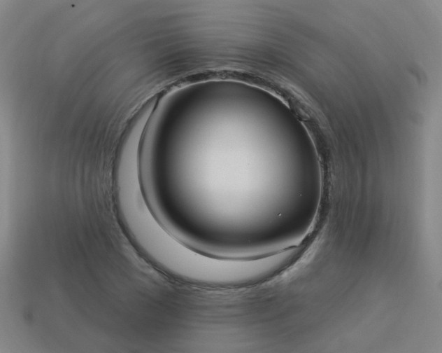 X0000114120977200910191720