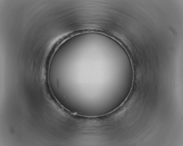 X0000114120979200910191720