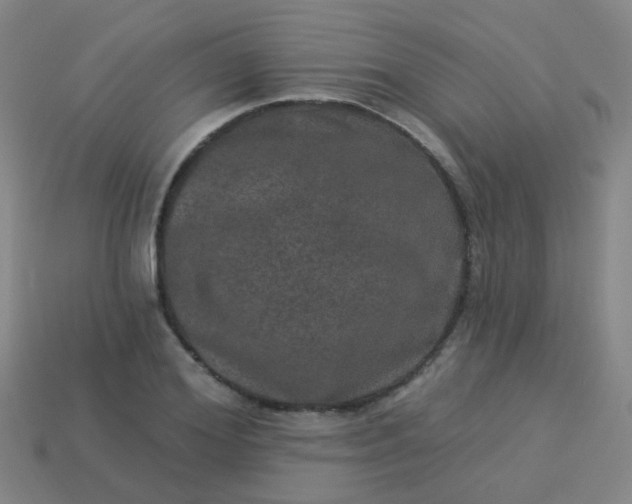 X0000114120980200910191720