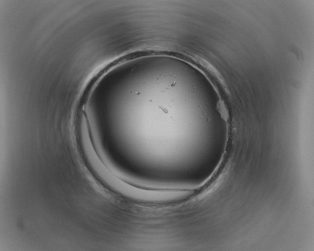 X0000114120981200910191720