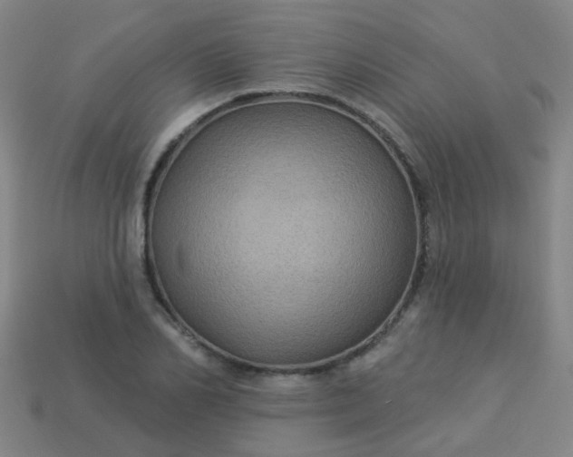 X0000114120982200910191720