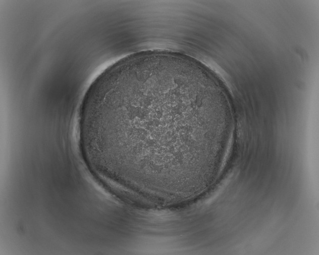 X0000114120983200910191720