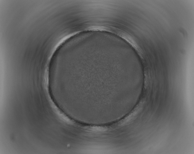 X0000114120984200910191720