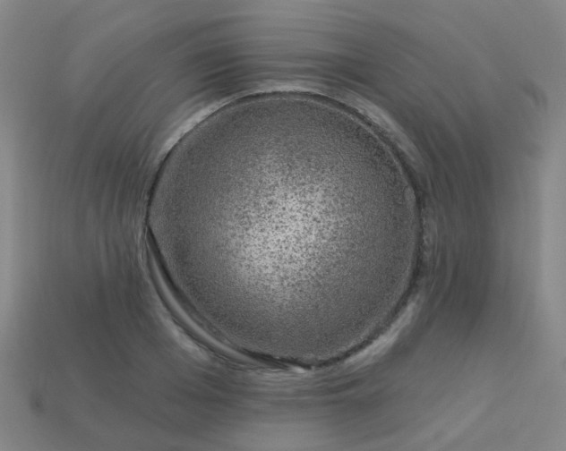 X0000114120985200910191720