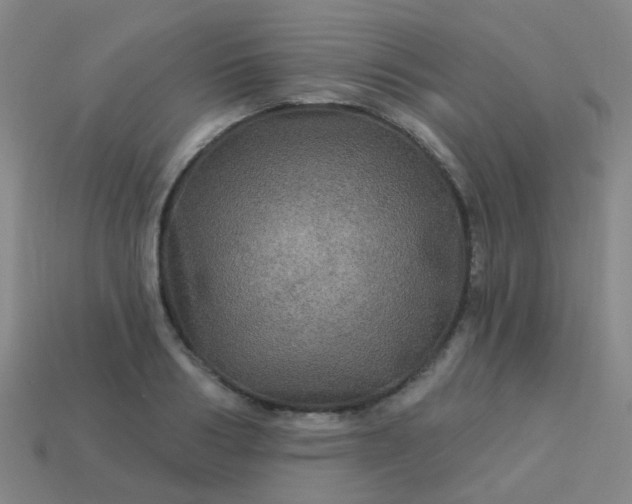 X0000114120986200910191720