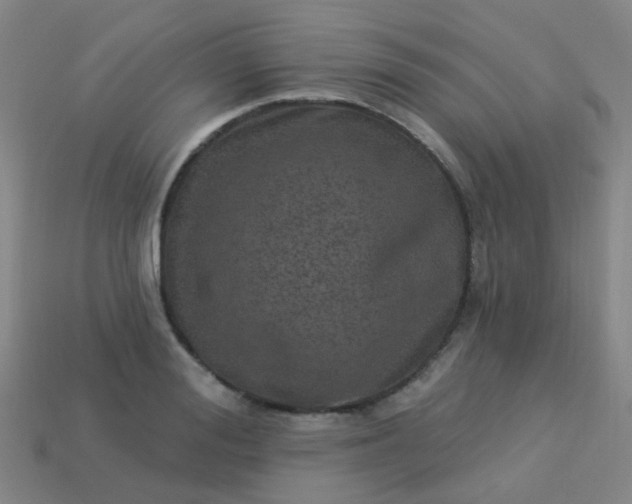 X0000114120988200910191720