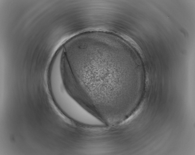 X0000114120989200910191720