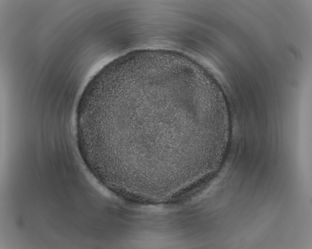 X0000114120990200910191720